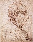 LEONARDO da Vinci Profile of an old man oil painting picture wholesale